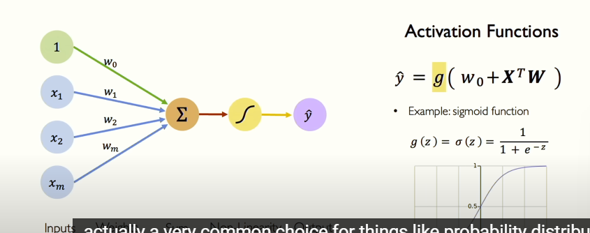 image-20250302173357938