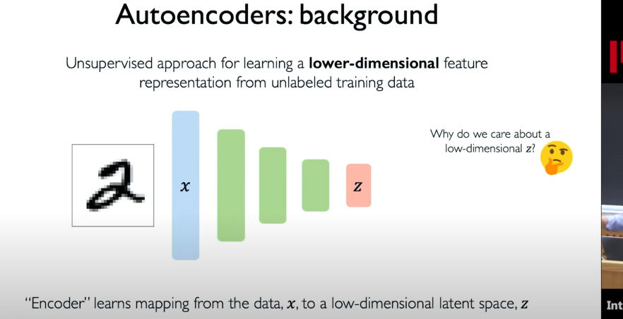 image-20250304220654243