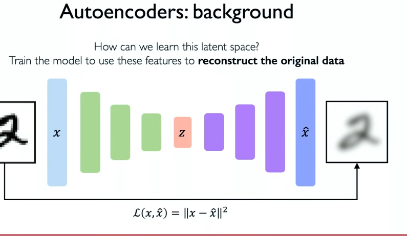 image-20250304220912390