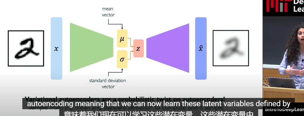 image-20250304222137386